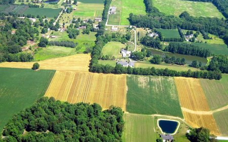 665 хектара са двойно декларираните площи за директни плащания