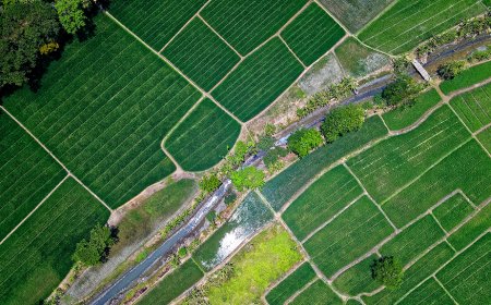 Удължава се срокът за подаване на заявления по Кампания 2024