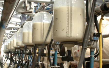 Приключи оценката за допустимост на 143 проекта по подмярка 4.2 от ПРСР 2014-2020