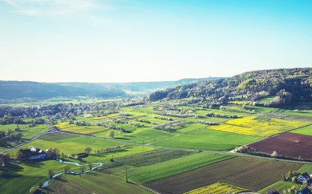 Ще продаде ли държавата 20 % от земеделските си земи, за да осигури 340 млн. лв. за бюджета?