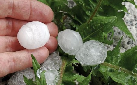 22,1 млн. лева са осигурени за компенсации на земеделските стопани от природни бедствия