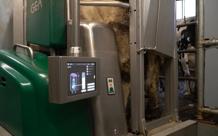 Eднодневен тур по малки добруджански ферми