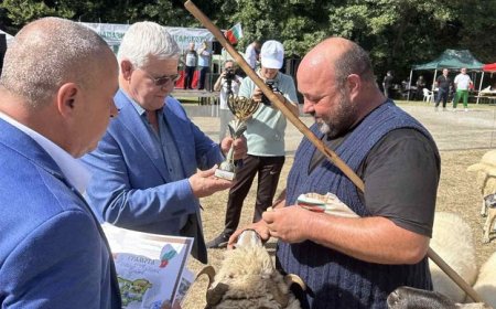 Министър Вътев: Разработваме закон за търговията с аграрни стоки