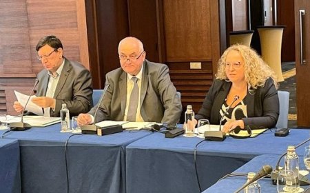 Георги Тошев и Таня Георгиева се срещнаха с представители на ОИСР