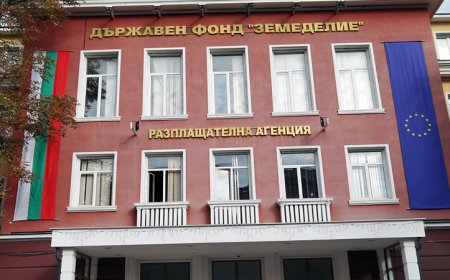 Животновъдите могат да разсрочат с една година кредитите си към ДФЗ