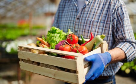 7 на сто по-скъпа потребителска кошница до края на годината прогнозират от Държавната комисия по стоковите борси и тържища