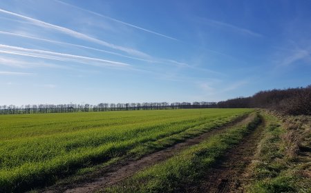 ДФЗ преведе над 200 млн. лв. по Еко схемата за намаляване използването на пестициди