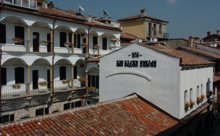 Винен фестивал във Велико Търново за Международния ден на мавруда