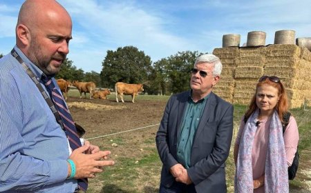 Френските животновъди ще учат българските как да си гледат стадата и да повишат доходите си