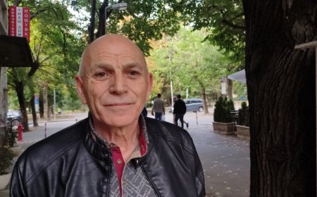 Проф. Пламен Петров: „Нелегалният внос на пчели майки убива пчеларството“