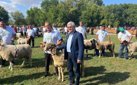 МЗХ ще определя кой е по-по-най- в животновъдството чрез конкурси