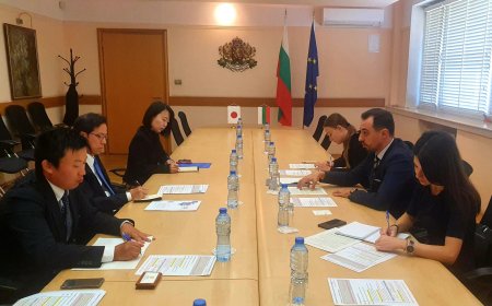 Българо-японски изследователски център ще въвежда иновации в млекопроизводството