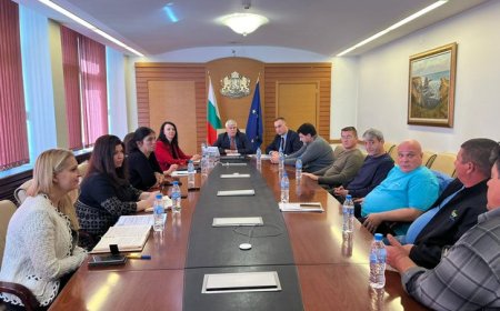 Пчеларите ще бъдат подпомогнати допълнително по „Де минимис“