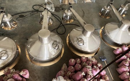 Министър Вътев призова розопроизводителите не само да изнасят розовото масло, а да го влагат в продукти, за да са конкурентоспособни