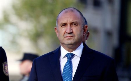 Президентът сезира КС за промени в Закона за земеделските земи, заради фотоволтаиците