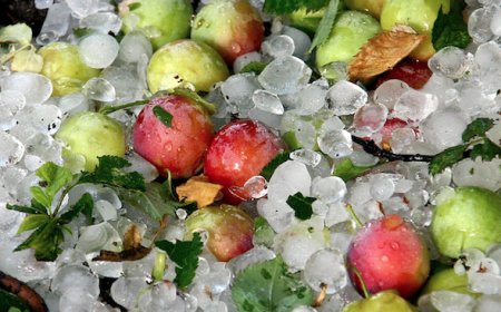 3,5 млн. лв. за обезщетения на пропаднали площи