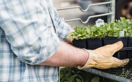 МЗХ стартира кампания за стимулиране на биопроизводството