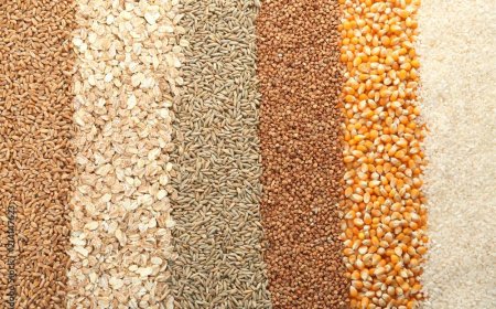 Световните зърнени борси се раздвижиха, у нас застоят продължава