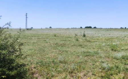 Във великотърновското Ново село искат общоселско събрание да станат ли 1300 дка пасище ВЕИ централа