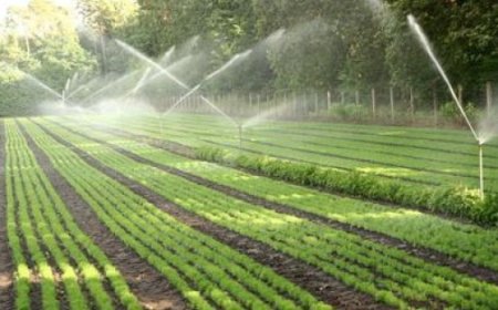 До 27 октомври е кандидатстването за втория прием от помощта за напояване