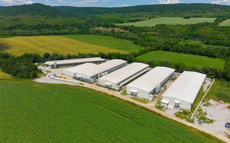 Над 600 хил. лв. ще струва на държавата ликвидирането на огнището на птичи грип в Дебелец