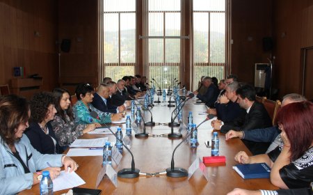 До средата на идната седмица се очаква да приключи умъртвяването и загробването на кокошките от фермата в Дебелец