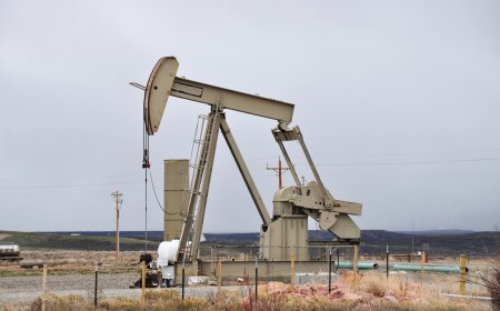 ДФЗ преведе 90 млн. лева на земеделските стопани за намален акциз върху газьола