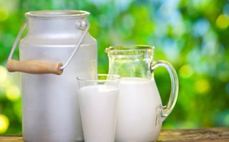 Държавната млекопреработвателна компания ще възстановява партньорството си с малките производители