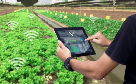 11 новаторски проекта в земеделието получават 5,8 млн. лв.