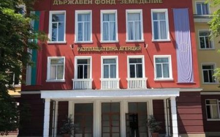 31 декември е краен срок по няколко интервенции през ДФЗ