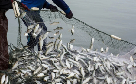 3 млн. евро от украинската помощ за рибарство