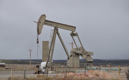 Как петролът влияе върху цената на пшеницата?