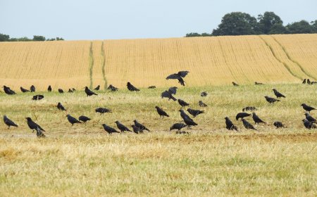 Нови технологии решават проблемите на полето