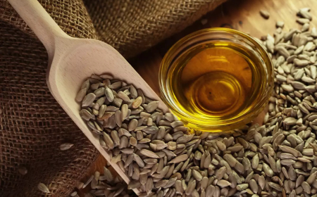 Лоша реколта за царевицата и слънчогледа у нас