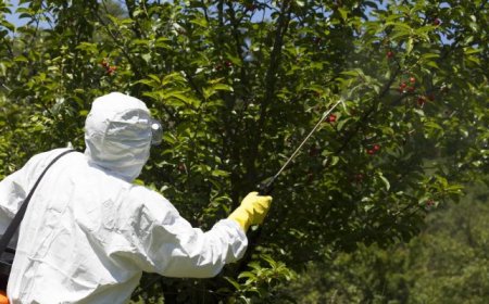 Започна приемът за помощта на овощарите за зимните пръскания