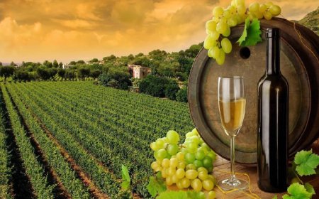 Приемат документите по две мерки за лозарите