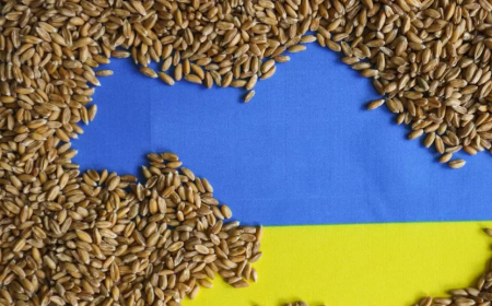 Министър Вътев пред земеделската комисия: „България не внася украинско зърно“