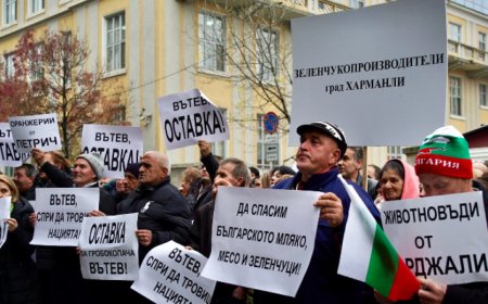 Протест на фермерите на жълтите павета