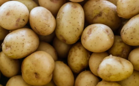 Срив в българската продукция от картофи, зеле и пипер, ръст при доматите