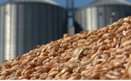 Разнопосочни сигнали на световните борси, у нас търговията остава спокойна