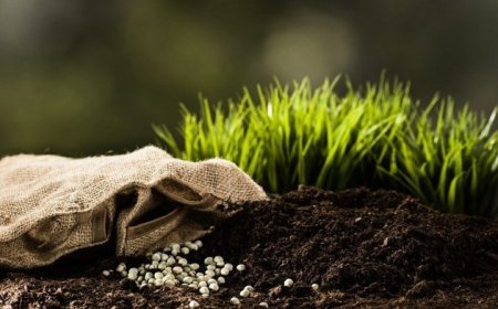 Българските земеделци се отварят все повече към биоторовете