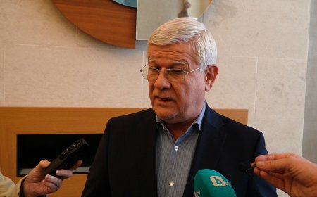 Има внос украински слънчоглед, който е под митнически контрол, но има и сериозно количество, което влезе като румънски