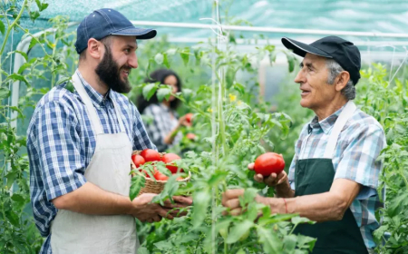 Млади фермери ще могат да кандидатстват за по-големи европейски субсидии