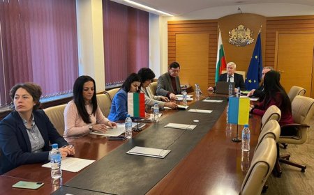 Министър Вътев и украинския министър Солски се договориха за прилагането на лицензионния режим за износа на слънчогледово семе, рапица, царевица и пшеница