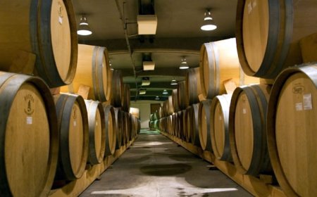 ДФЗ приема заявления по две интервенции за лозаро-винарския сектор