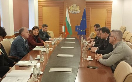 България може да е полезна с опита си, от който Косово може да се поучи, по своя път към европейското семейство