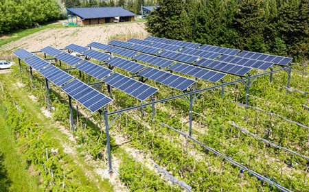 Бившият земеделски министър Иван Иванов: „Президентът допусна грешка като не наложи вето на Закона за агрофотоволтаиците“