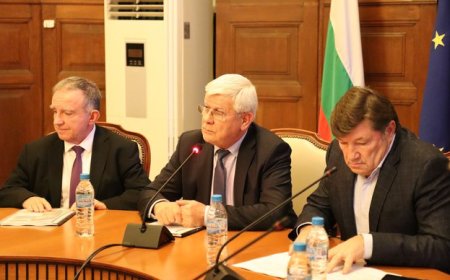 Министър Вътев: „Зърненият баланс на страната е осигурен“