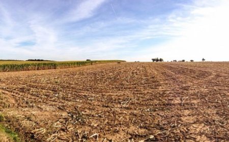 Съдебни изпълнители продават 85 декара ниви във Великотърновско