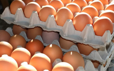 Продължават лъжите с вносни яйца и пилешко, които ни продават за български